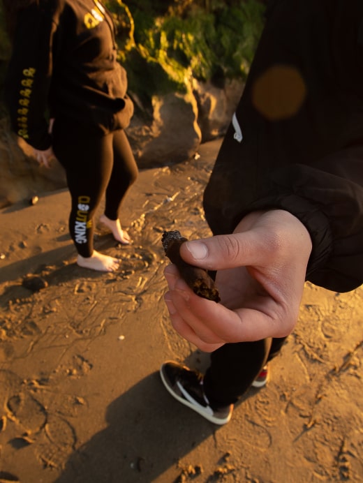 A person holding a blunt n their hand