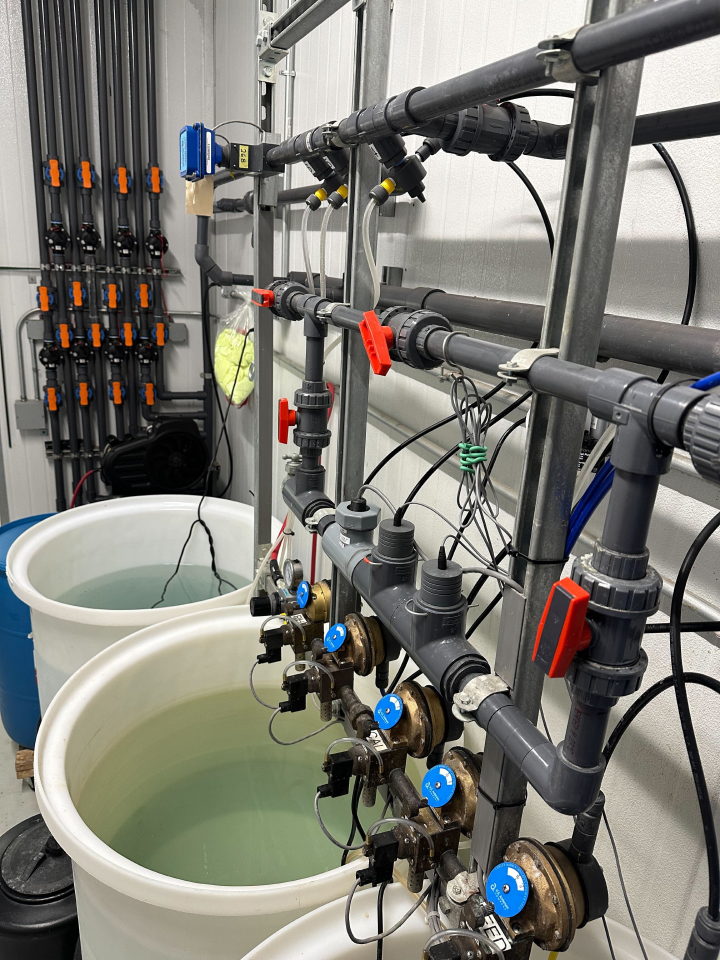 A couple of buckets filled with lots of water