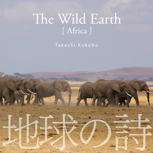 詳細情報を紹介する画像