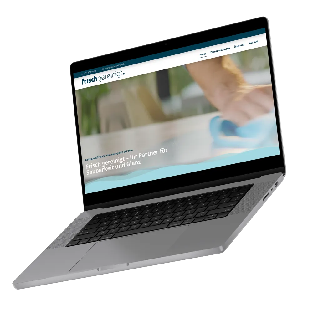 frischgereinigt website mockup