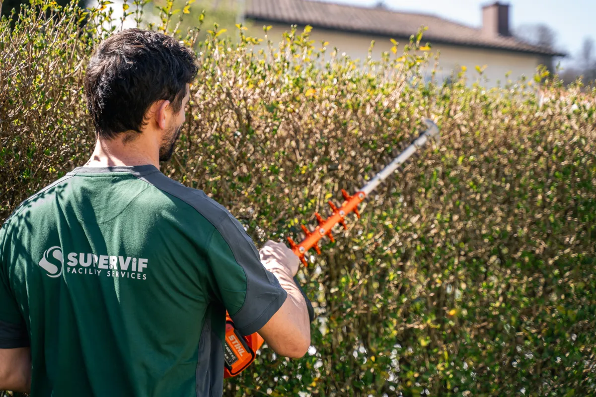 supervif reinigung zürich