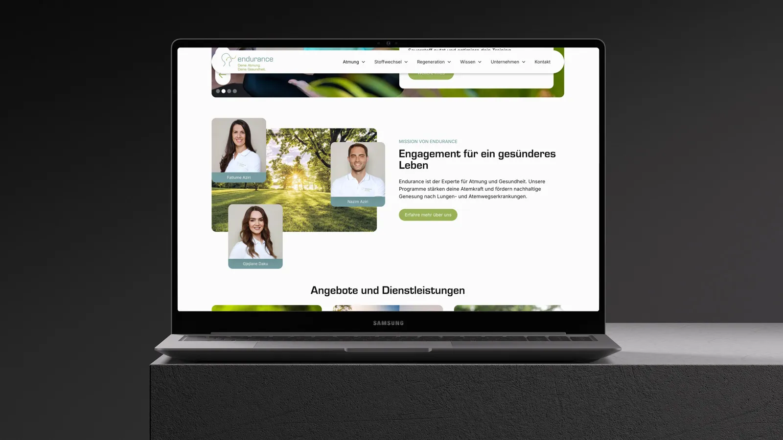 endurance website mockup