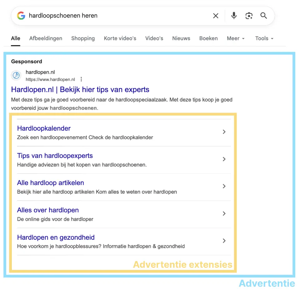 Screenshot van een betaalde advertentie in de SERP van Google