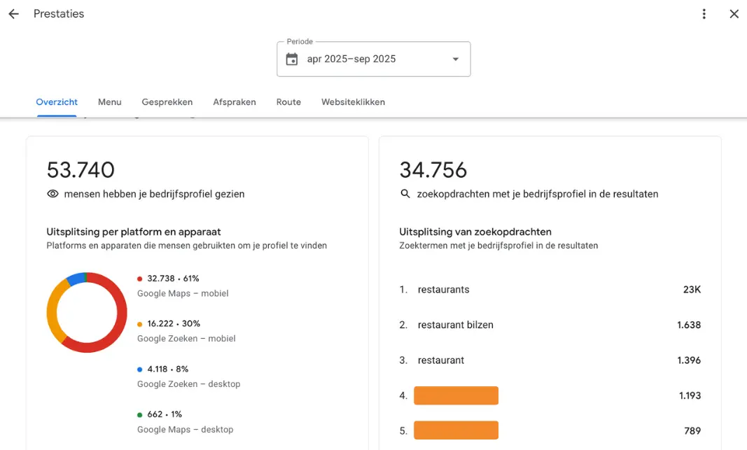 Screenshot van de google mijn bedrijf insights voor lokale SEO