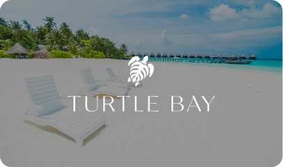 Turtle Bay