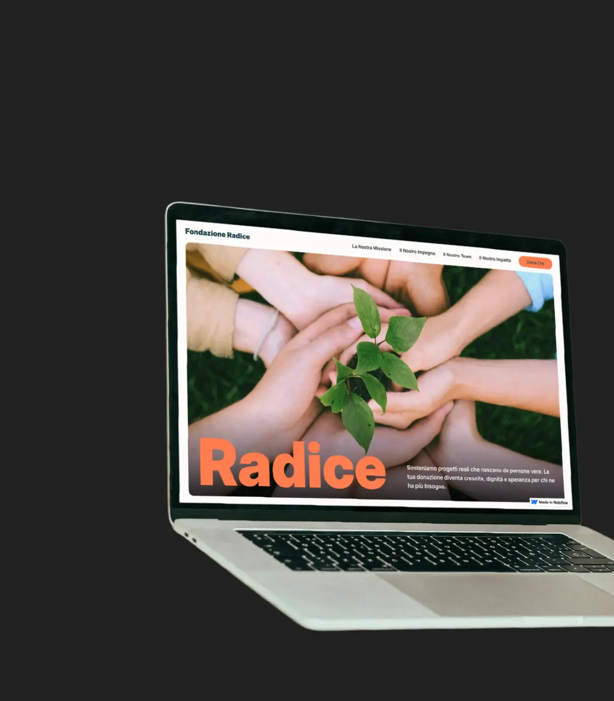 Fondazione Radice Demo