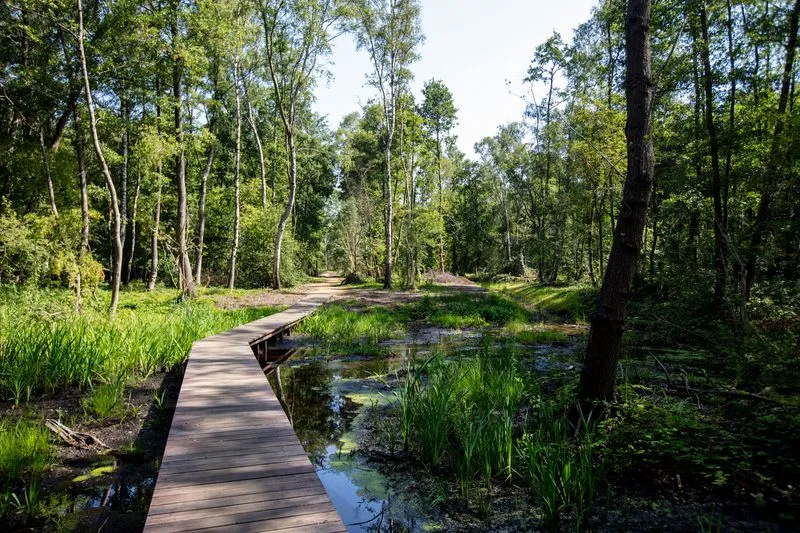 Coconn Genk- omgeving
