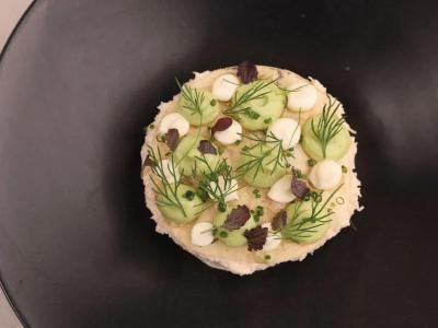 Babylon Dining - Food Gallery - Tartlet