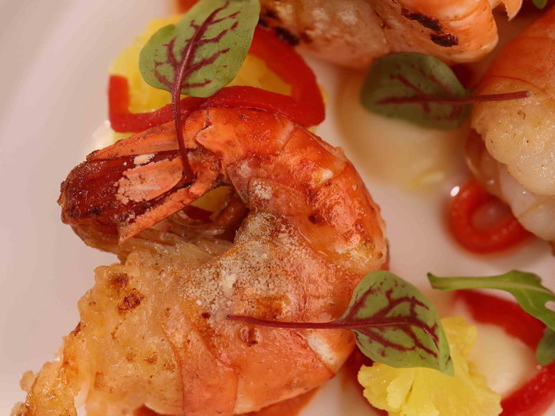 Babylon Dining - Private Chef - Menus 