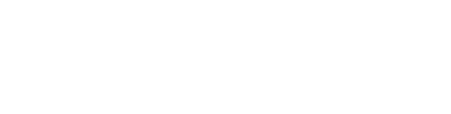 maltego logo