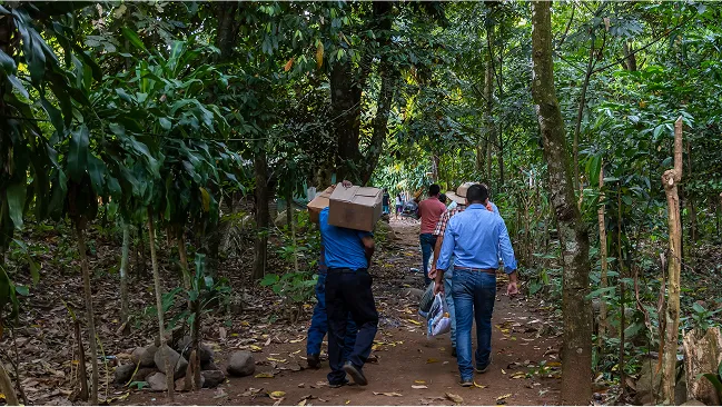 Unleashing the power of AI: How Grant Assistant transforms proposal writing