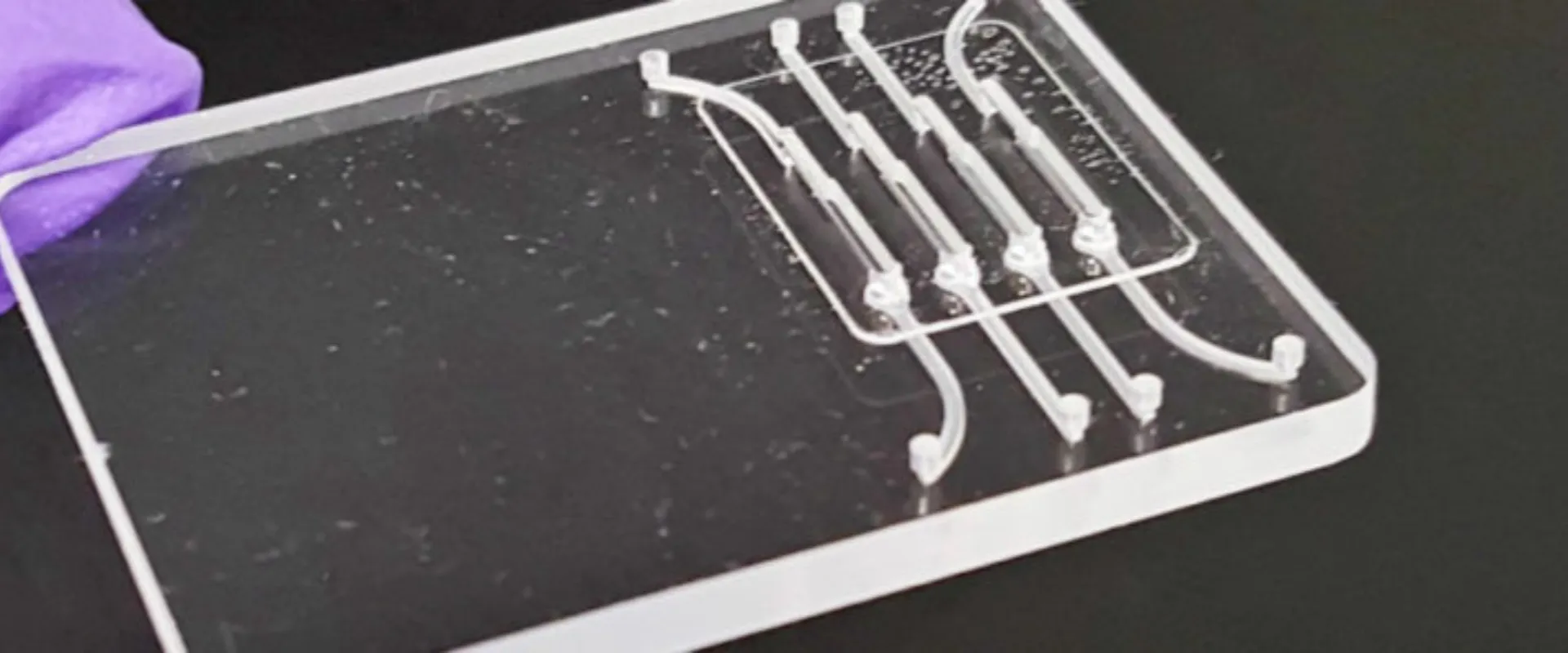 The device quickly detects Zika