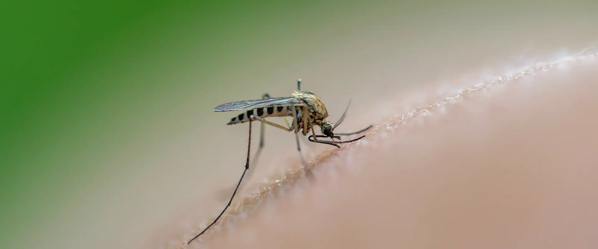 Delaware Officials Report a Case of Zika Virus