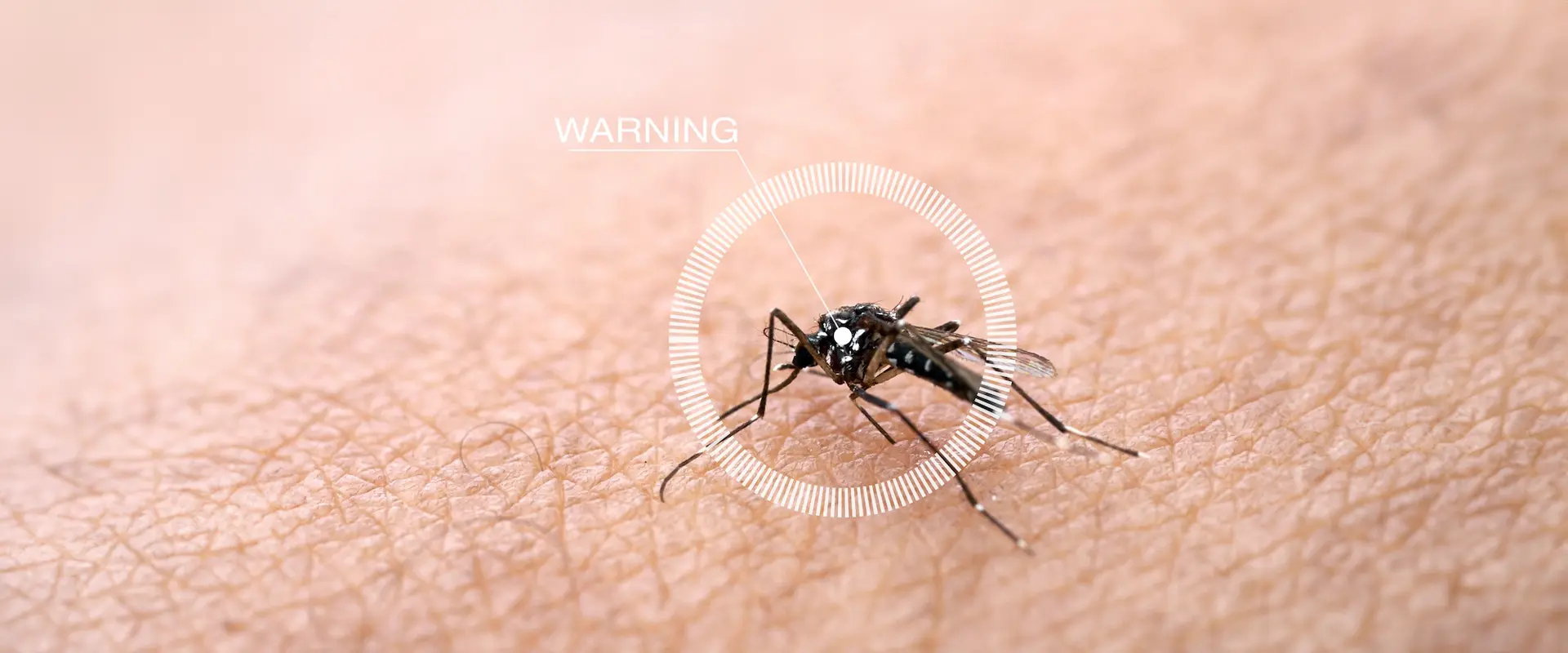CDC Issues Malaria Alert: A Homeowner’s Approach to Mosquito Control in Annapolis, MD