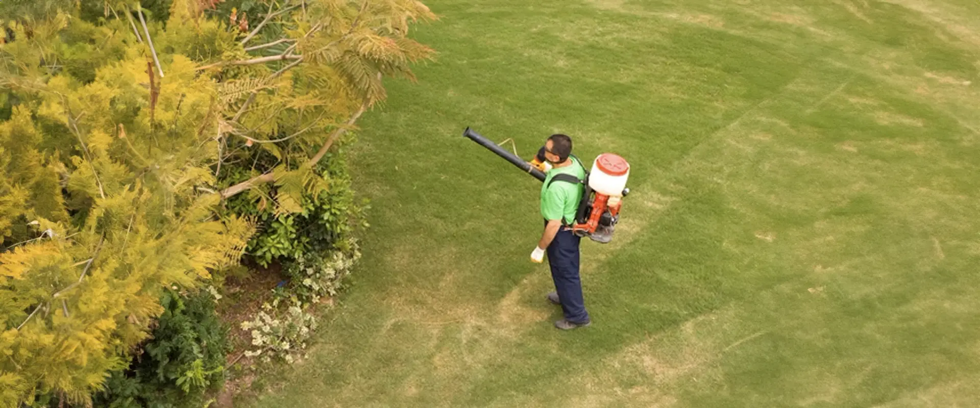 Effective Mosquito Control for Maryland Homeowners: Why Going Pro Makes Perfect Sense