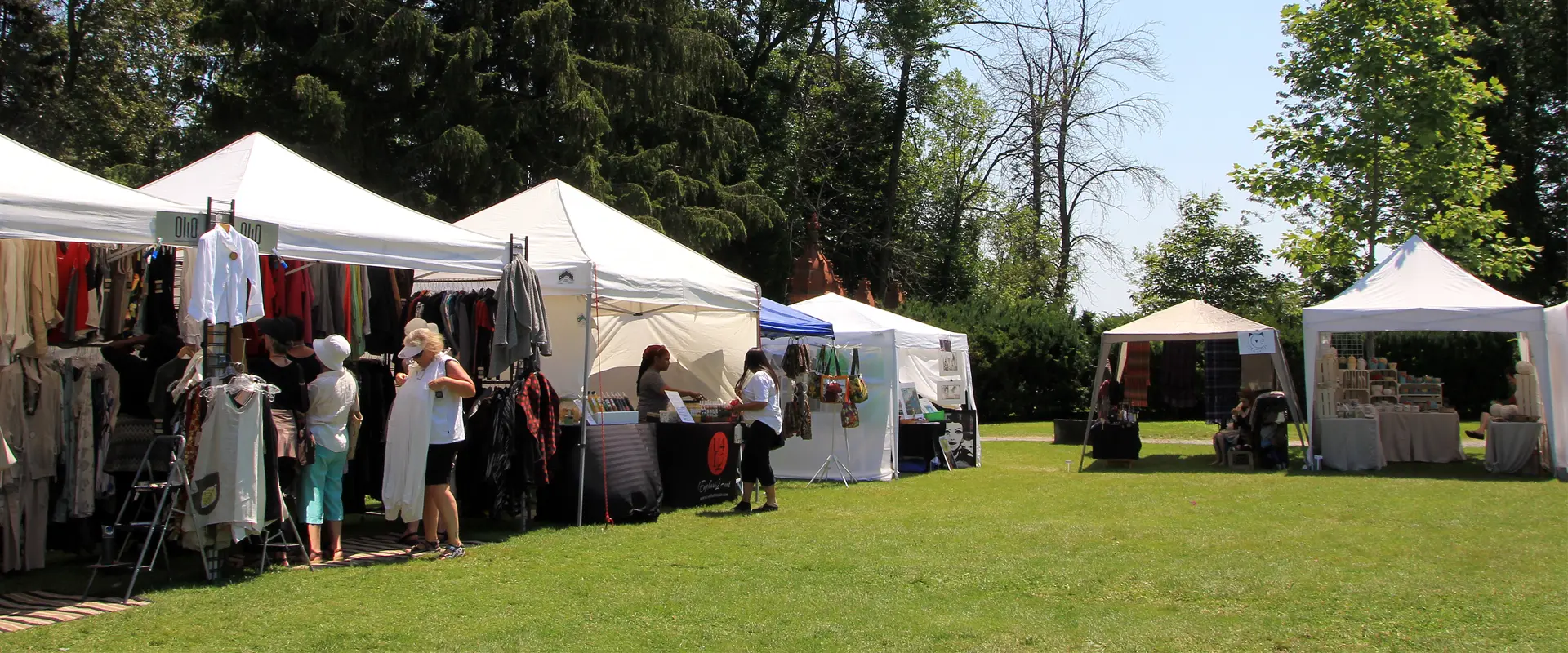 Mosquito Control for Outdoor Events in Annapolis, MD: What You Need to Know