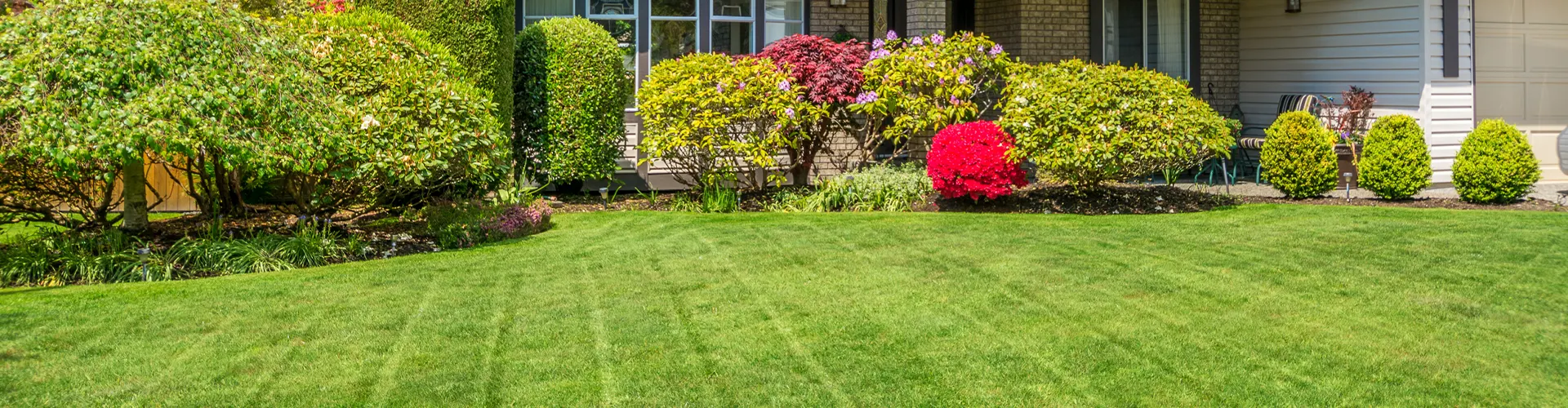 Cool Season Lawn Care