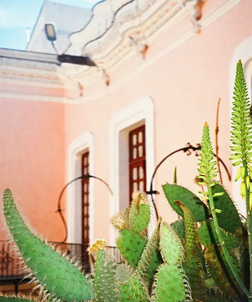 Alexander Jürs – Photography