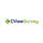 CViewSurvey