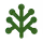 Corymbus