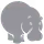 Email Hippo