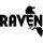 Raven Tools