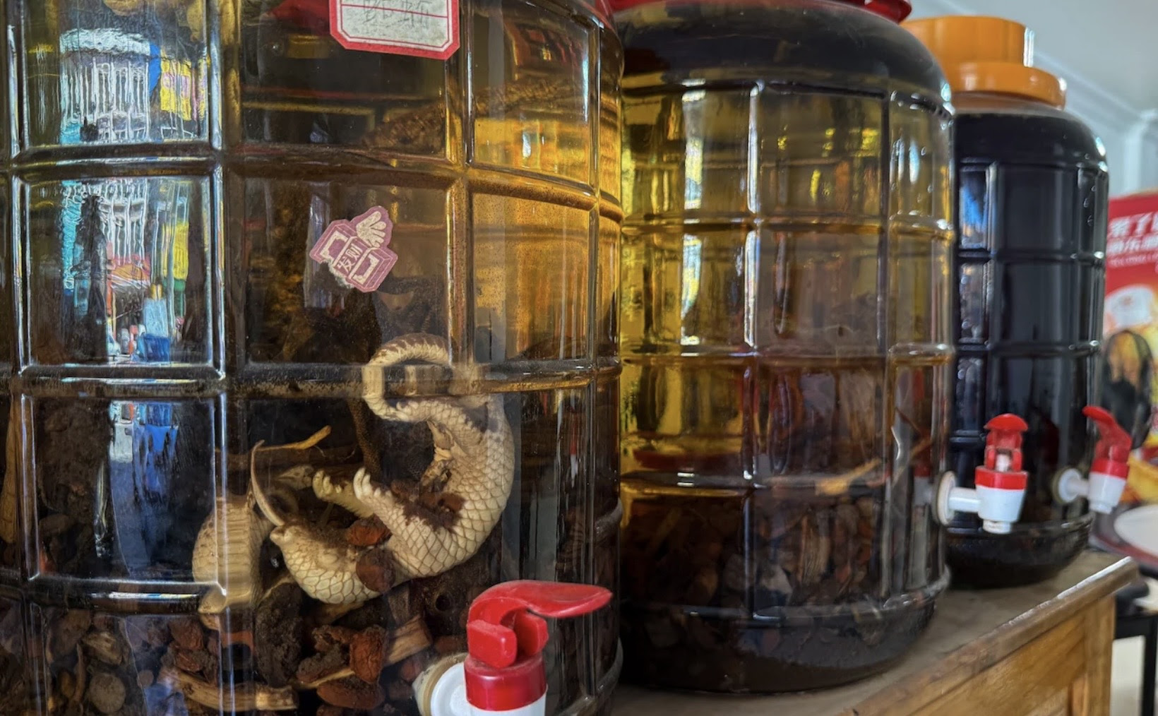 Boiled pangolin for lunch? The conservation and spillover threats posed by Laos’ rampant wildlife trade