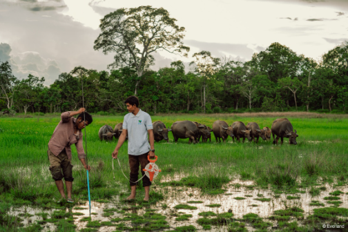 Nature and climate security: Reframing conservation in a changing world
