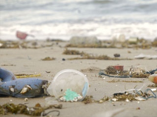 ♻️ Investiert dein Betrieb in Nachhaltigkeit?