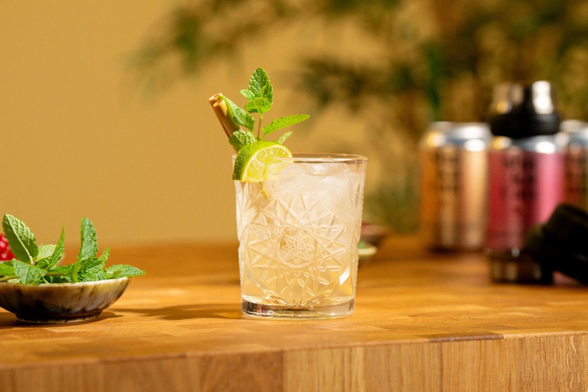 Achieving a 5.0 ROAS for the Next Generation of Mixology