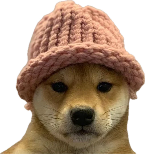 Dogwifhat