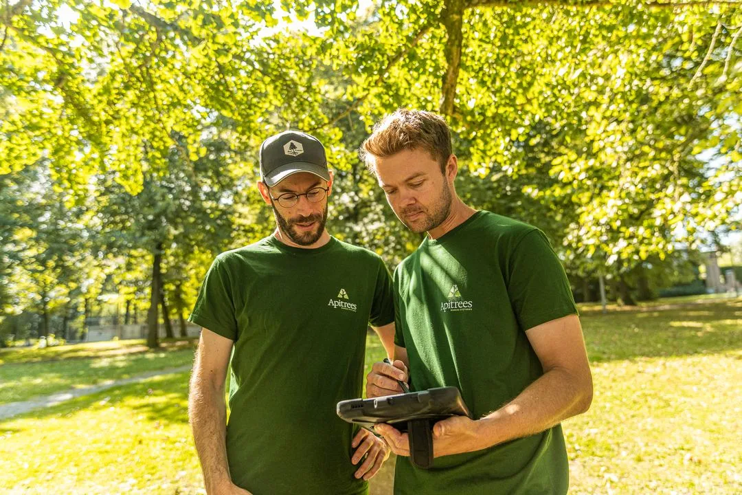 Equipe d'Apitrees - Bureau de gestion de patrimoine arboré et de conception paysagère urbaine