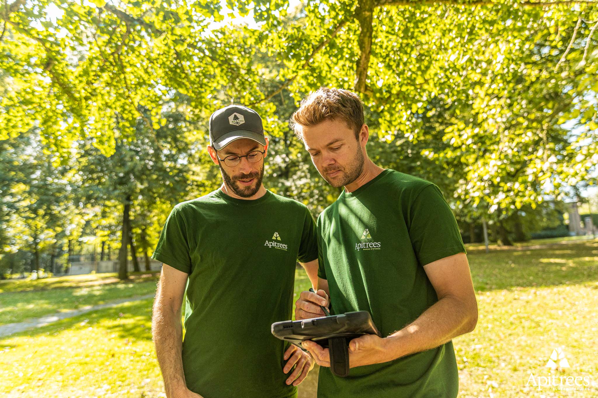 membres de l'équipe Apitrees sur le terrain, inventaire, cartographie de patrimoine arboré