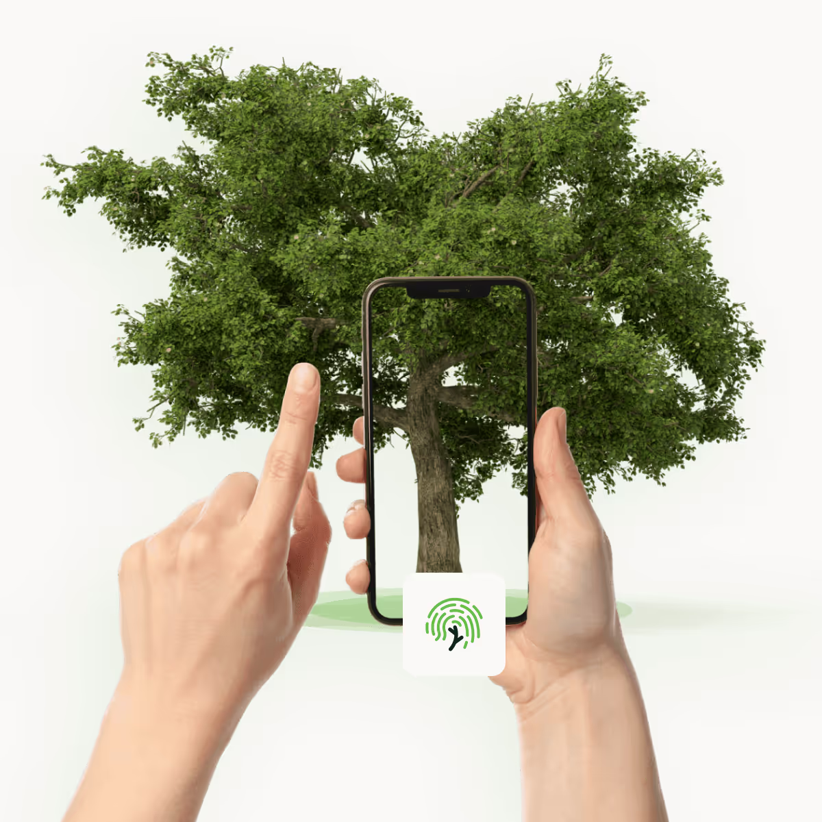 Illustration de l'application Grality
