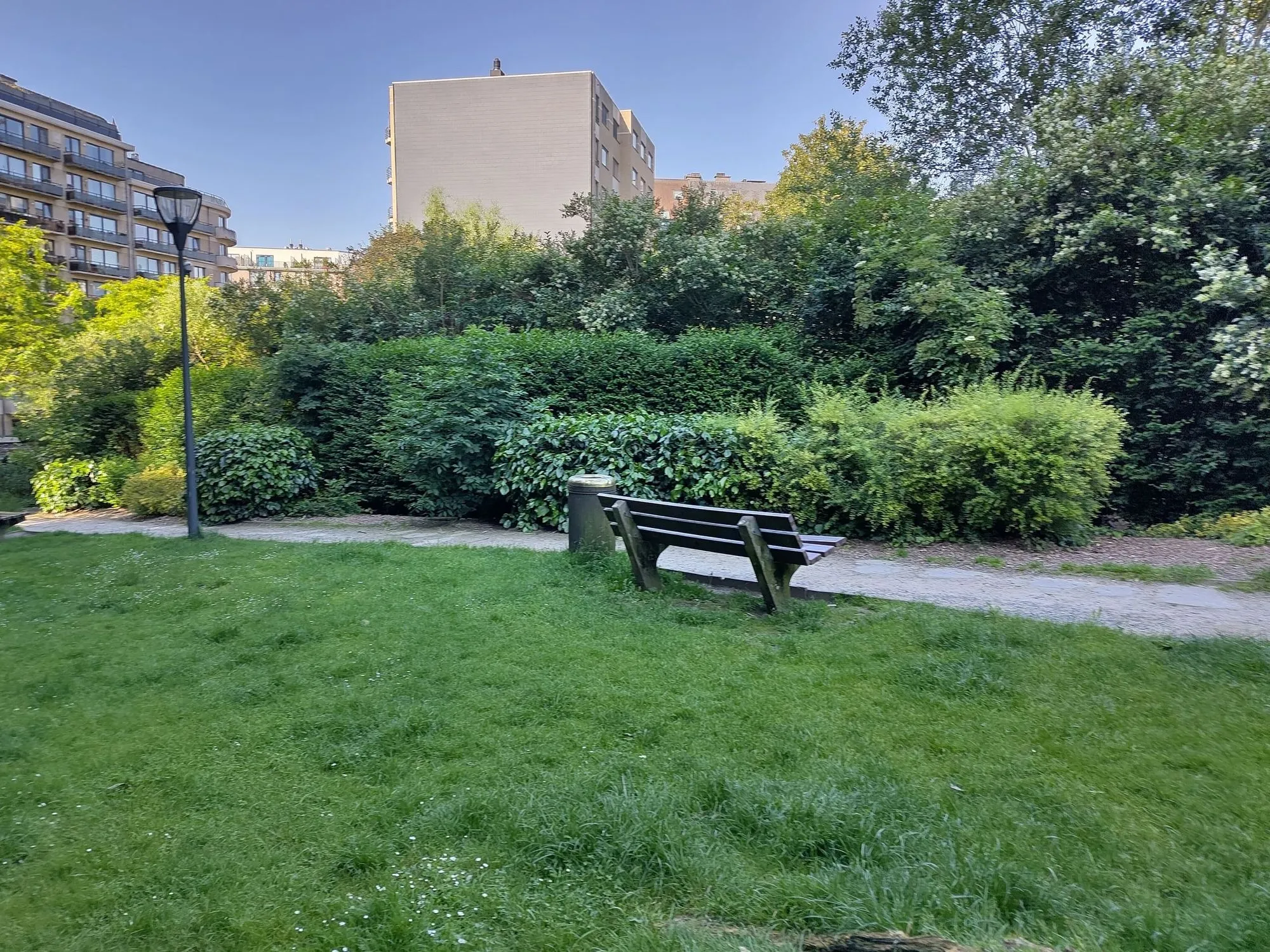 Pelouse et massif arbustif dans un parc