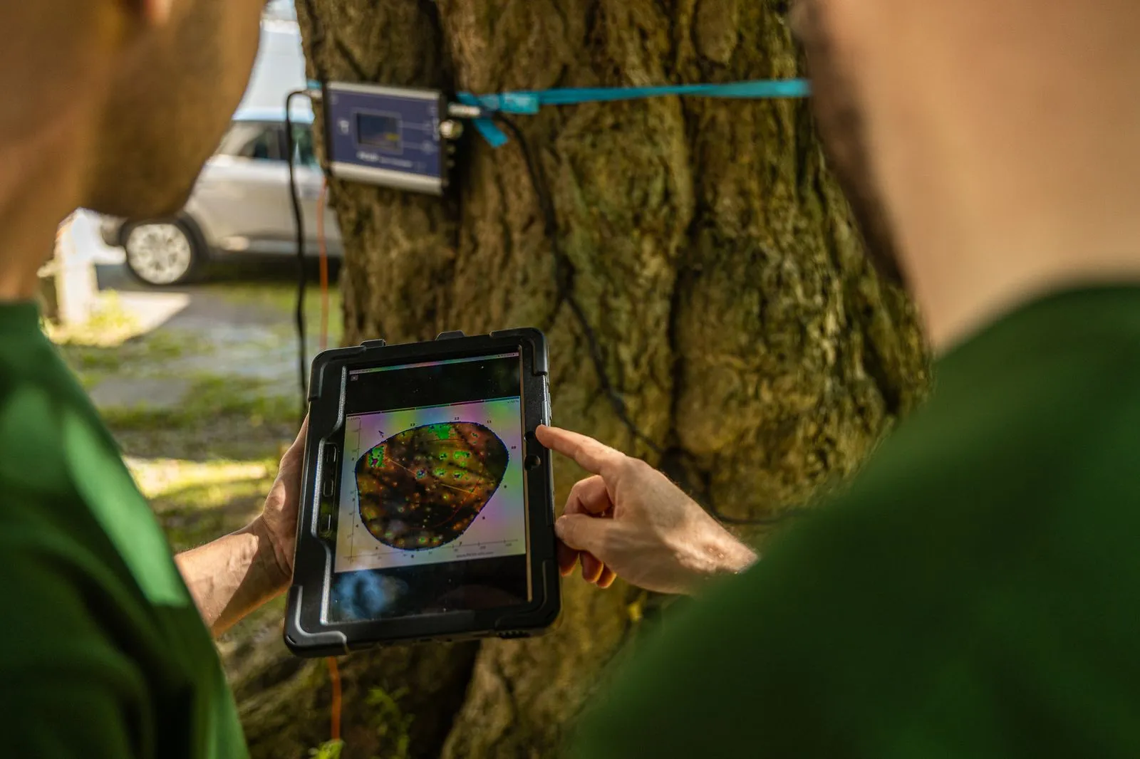 2 arboristes discutant des résultats d'une tomographie sur un arbre