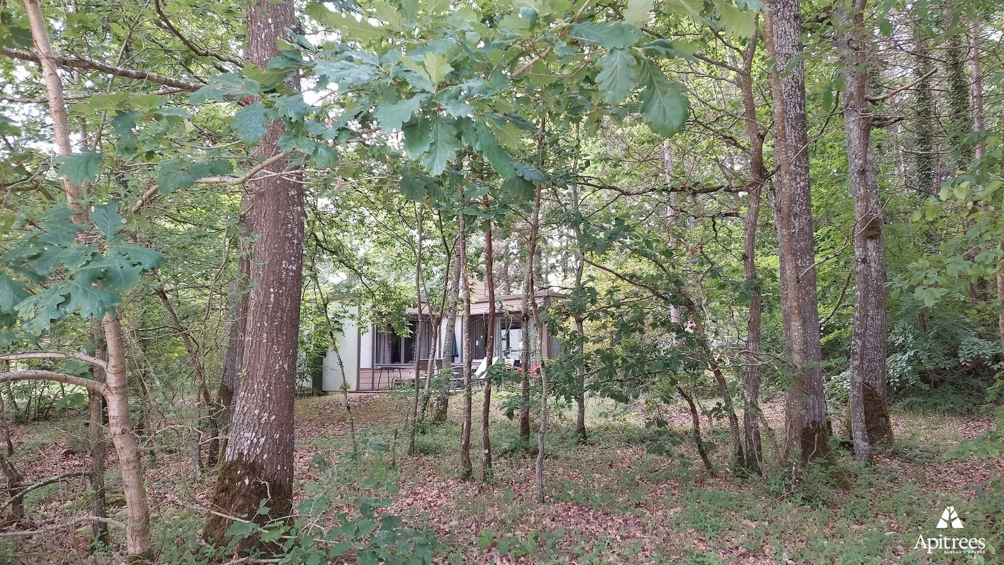 Zone boisée avec les chalets du Center Parcs de Bois Franc