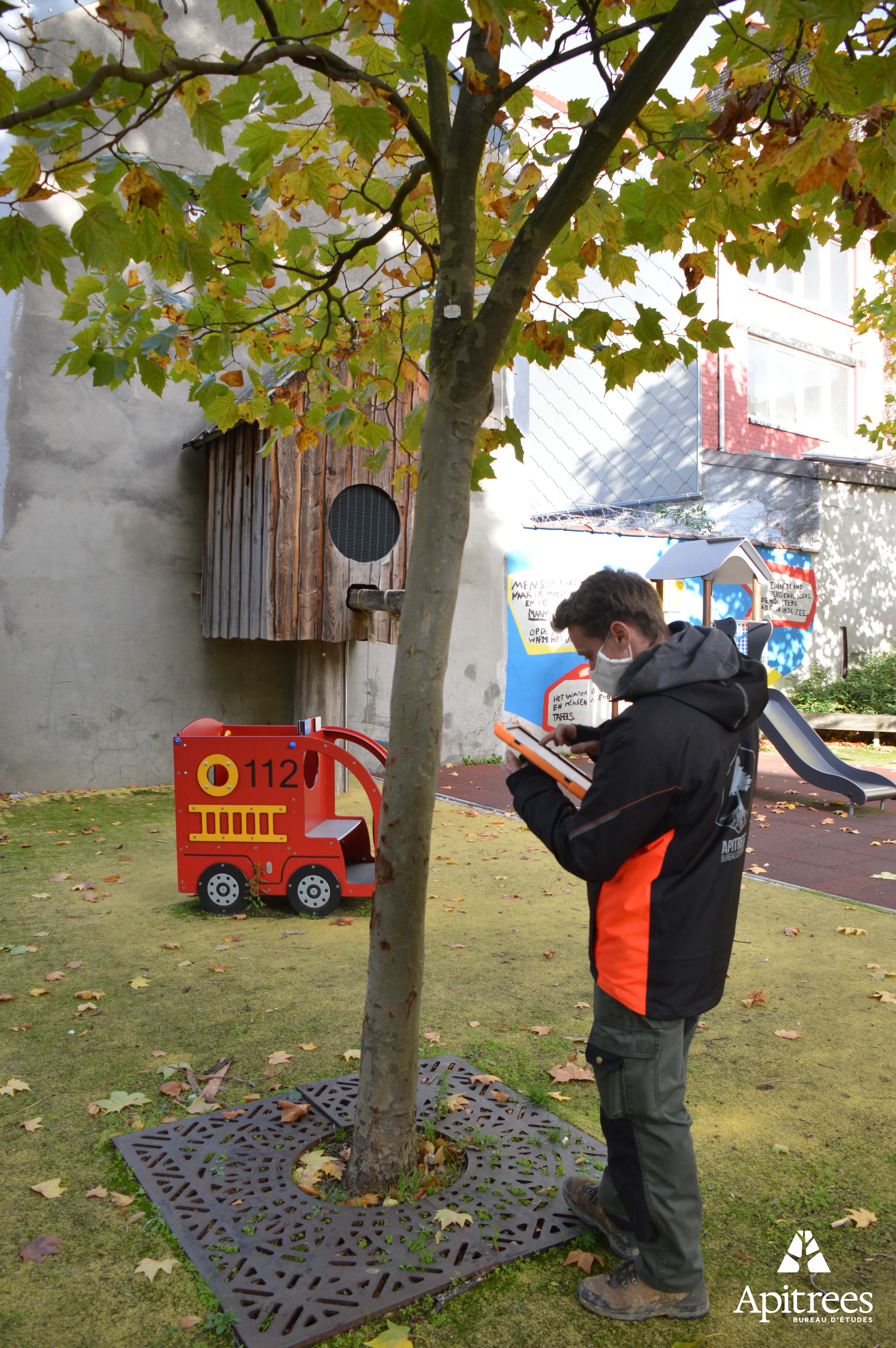 Inventaire et diagnostic d'un arbre de la commune de Saint-Josse à Bruxelles