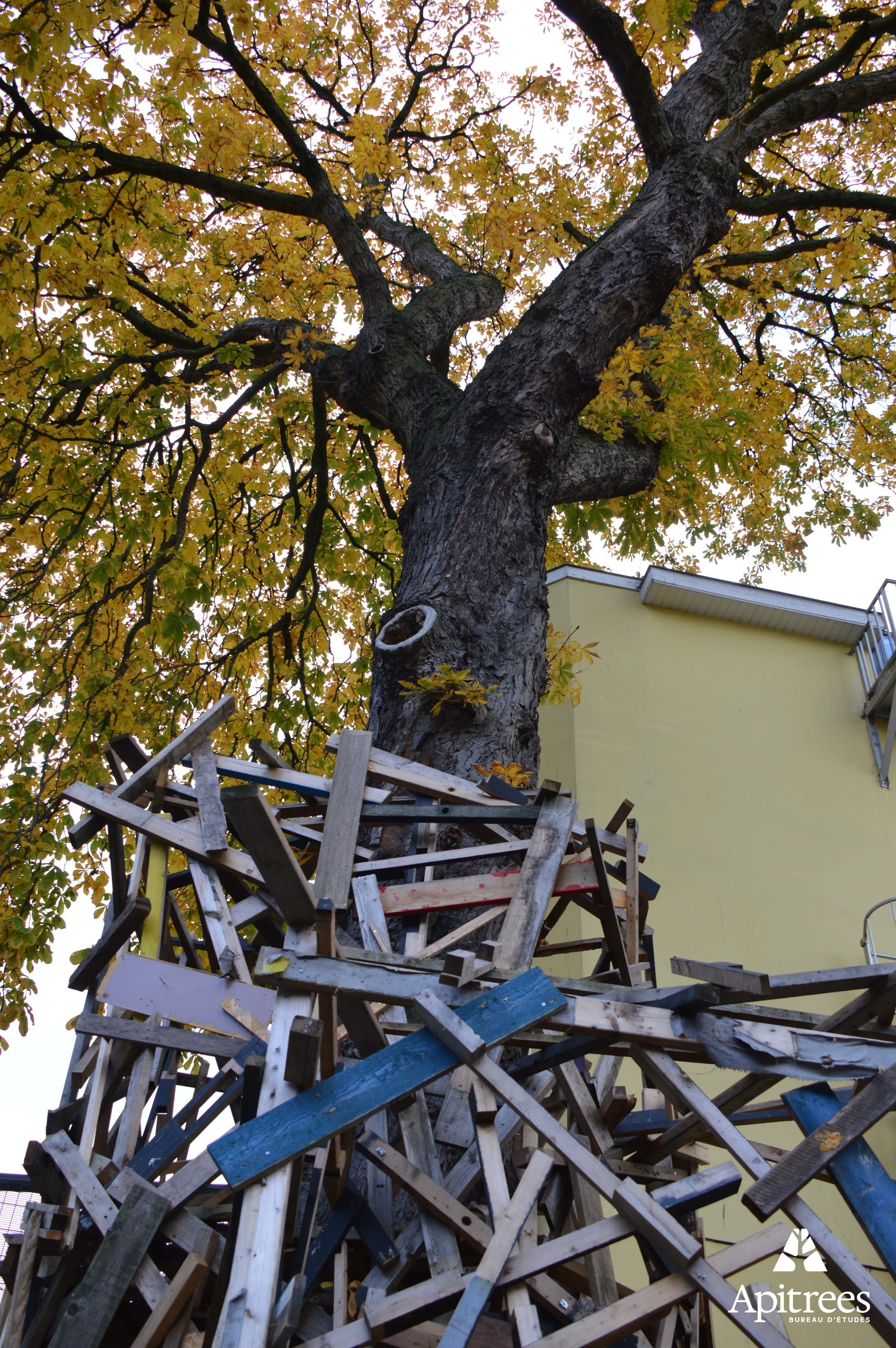 Structure artistique autour d'un arbre de la commune de Saint-Josse à Bruxelles