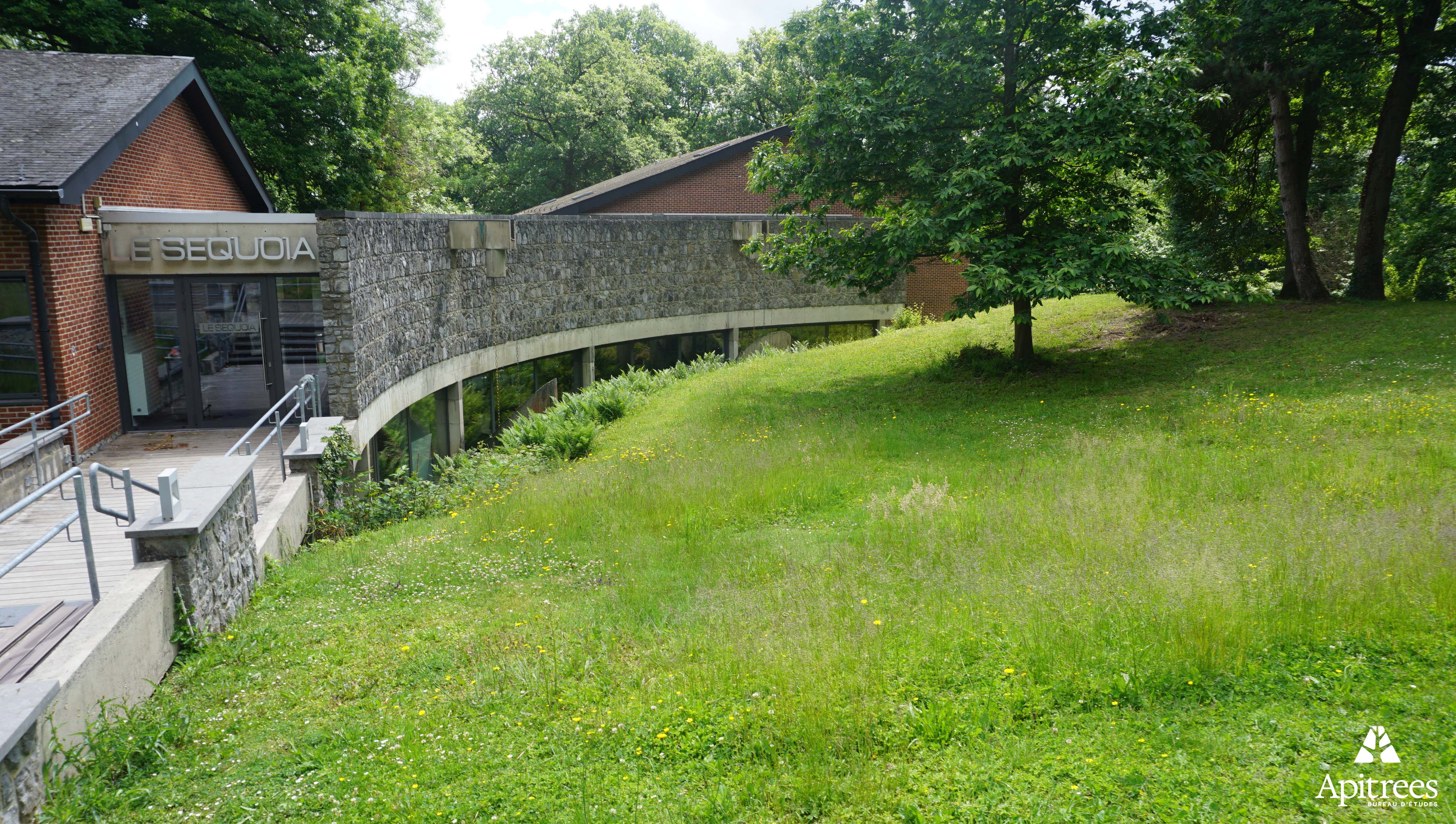Prairie de fauche sur le site de la F.W.B. de la Marlagne à Namur