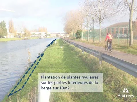 Port de Bruxelles - recommandations de gestion