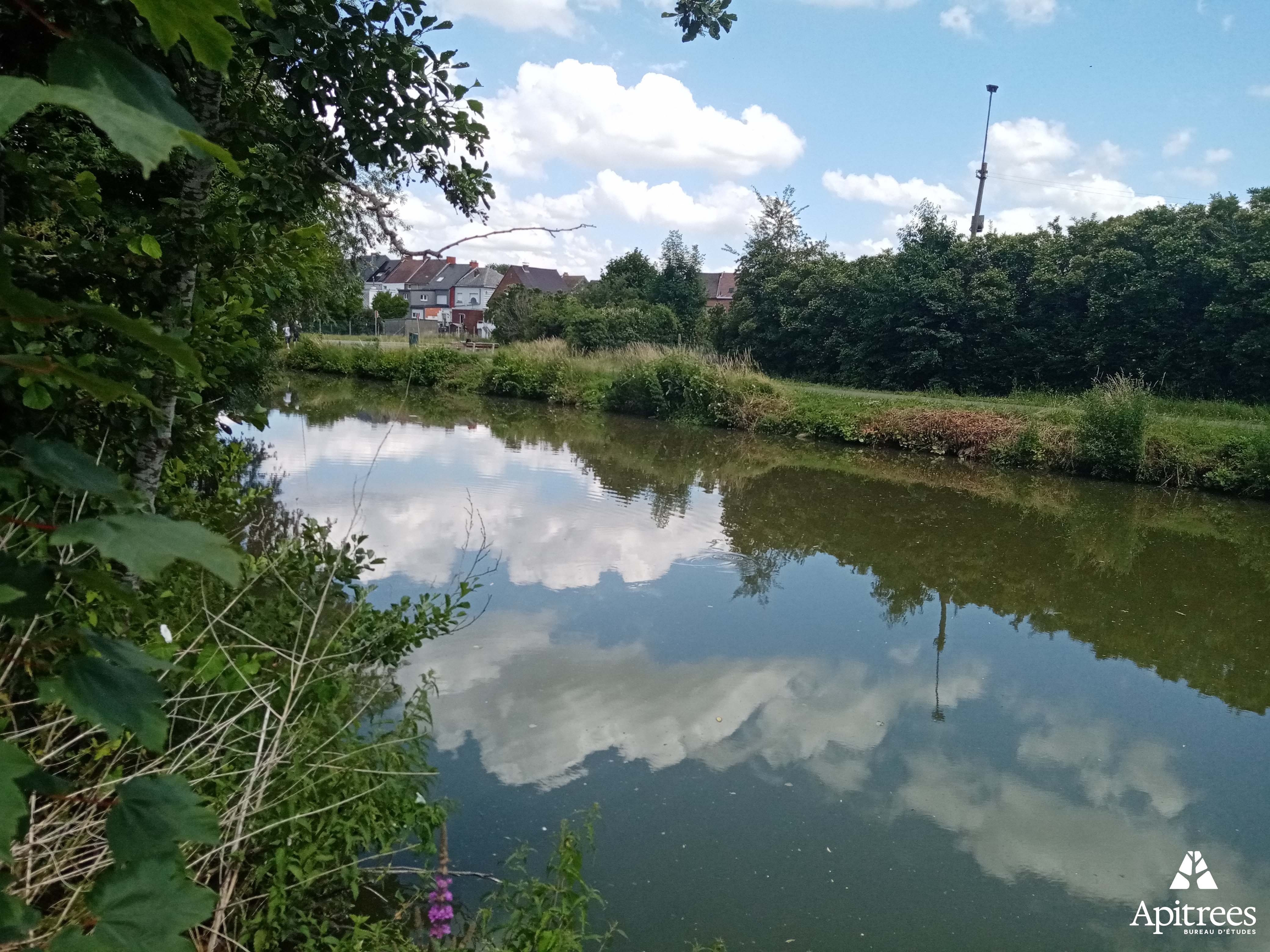 Bord d'eau sur le site du futur parc urbain de Lessines