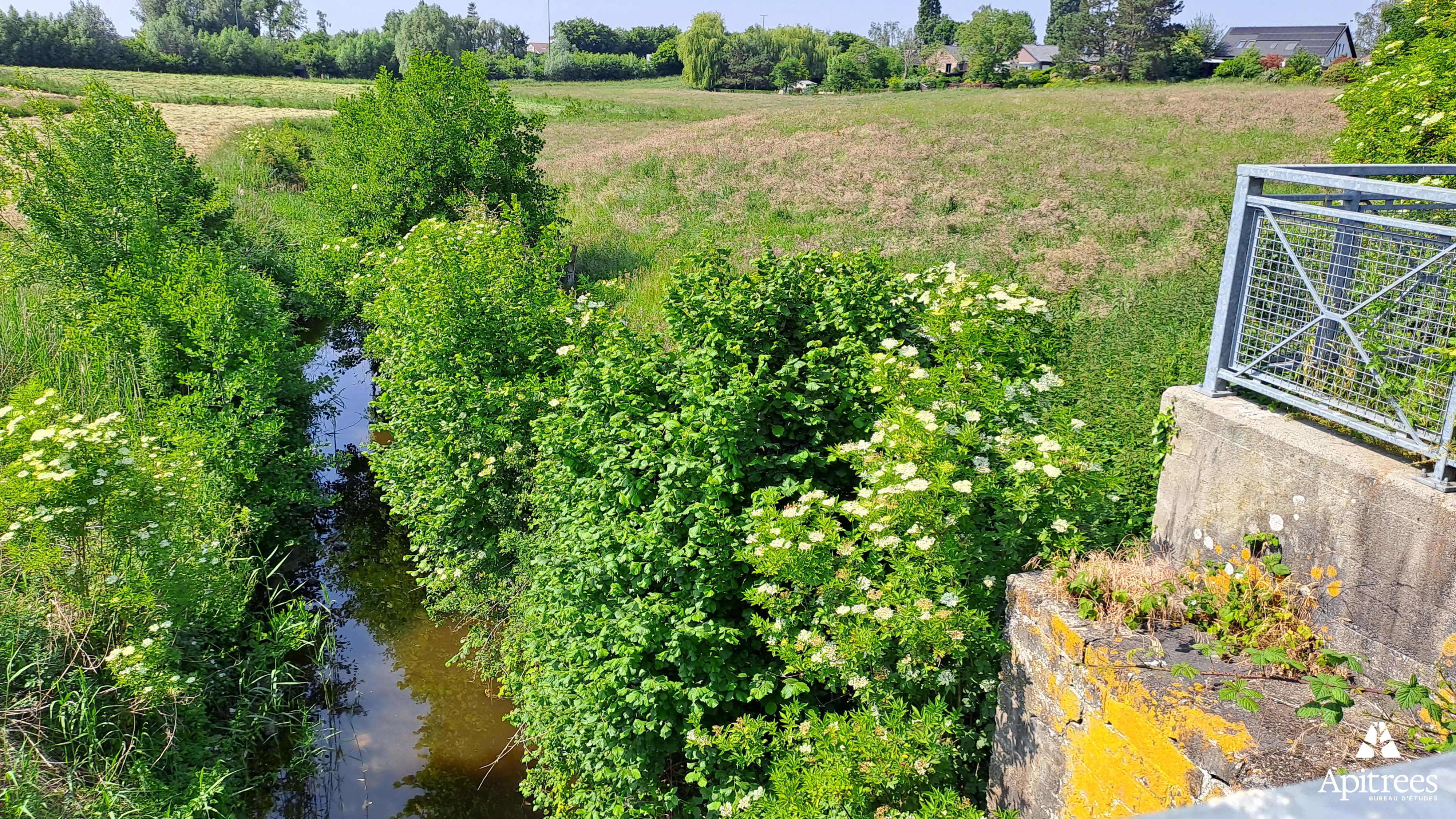 Photo de la situation existante à Comines-Warneton