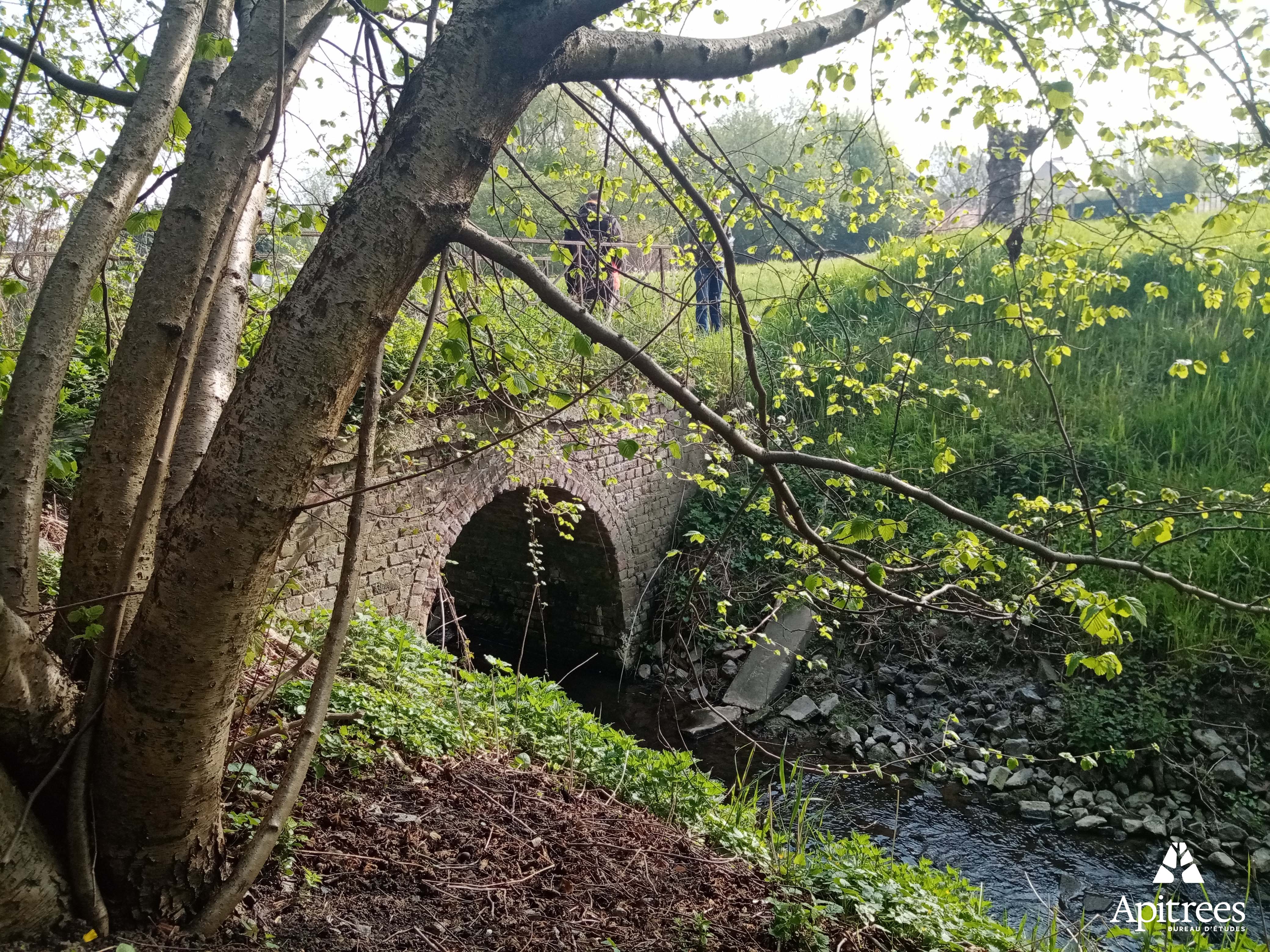 Pont au dessus d'un ruisseau sur le site du futur parc urbain
