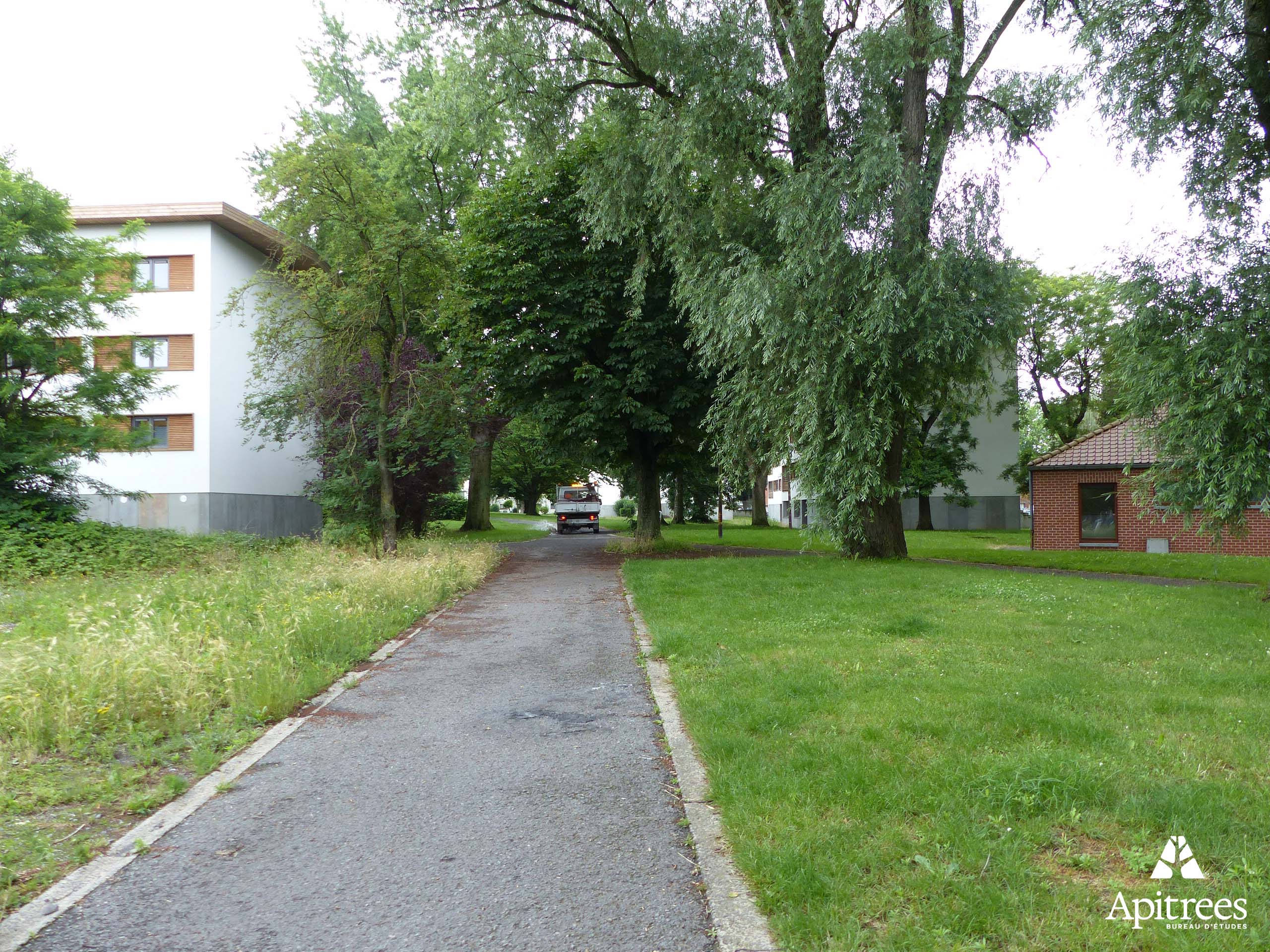 Situation avant intervention
