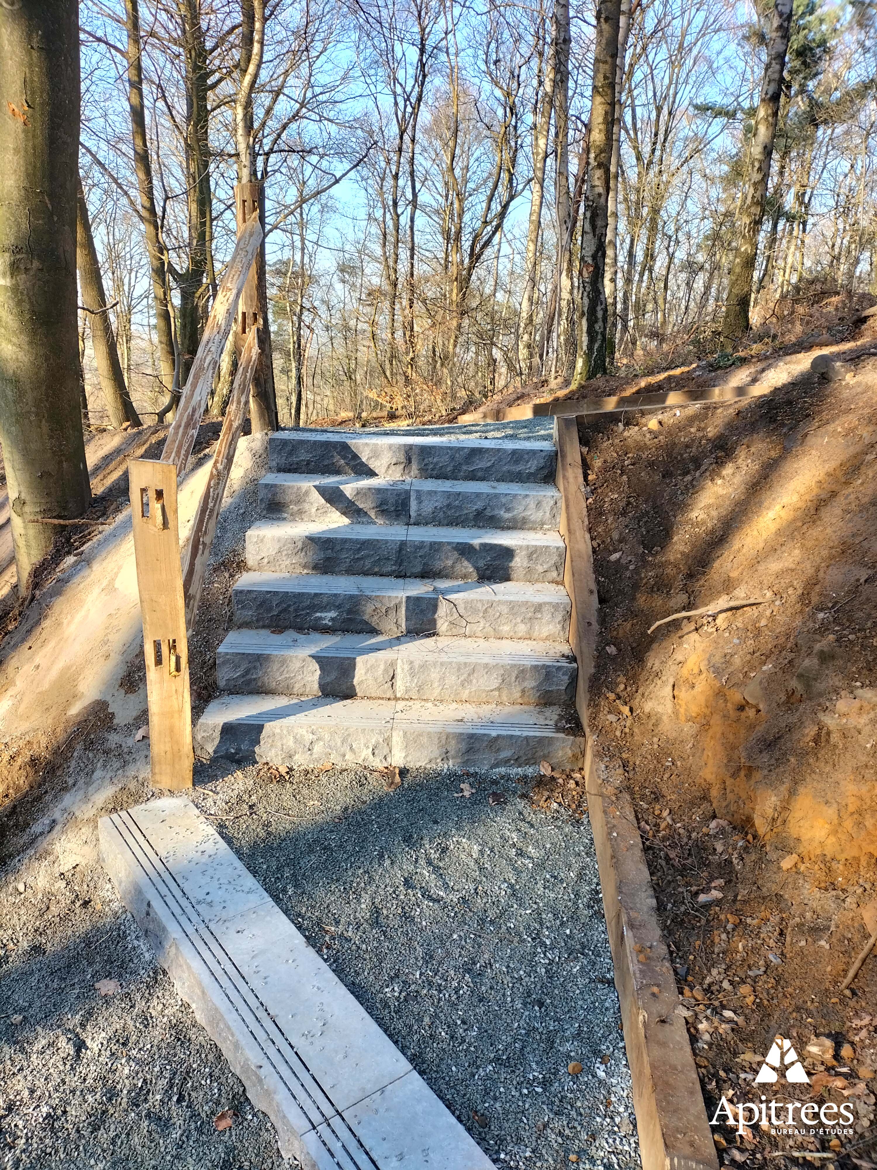 Escalier en zone boisée