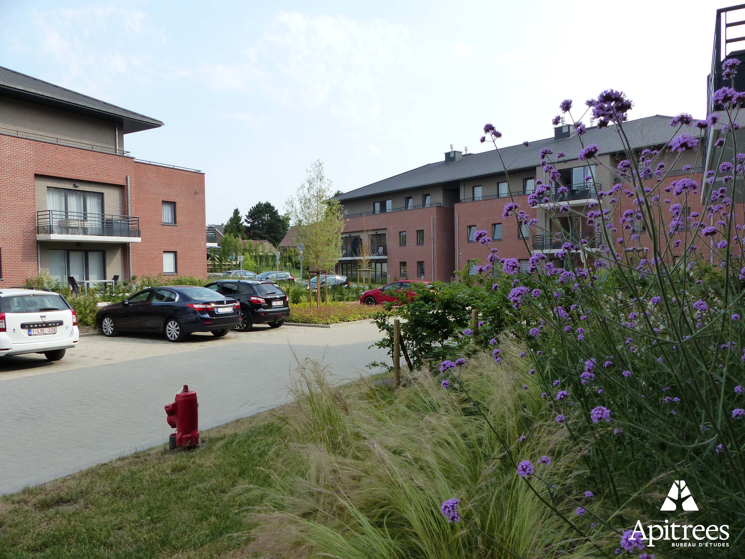 Aménagement paysager des jardins d'Enghien