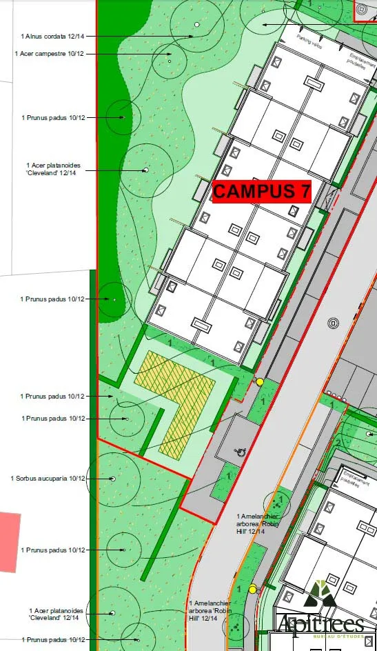 Plan des aménagements paysagers des abords de logements étudiants à Mons