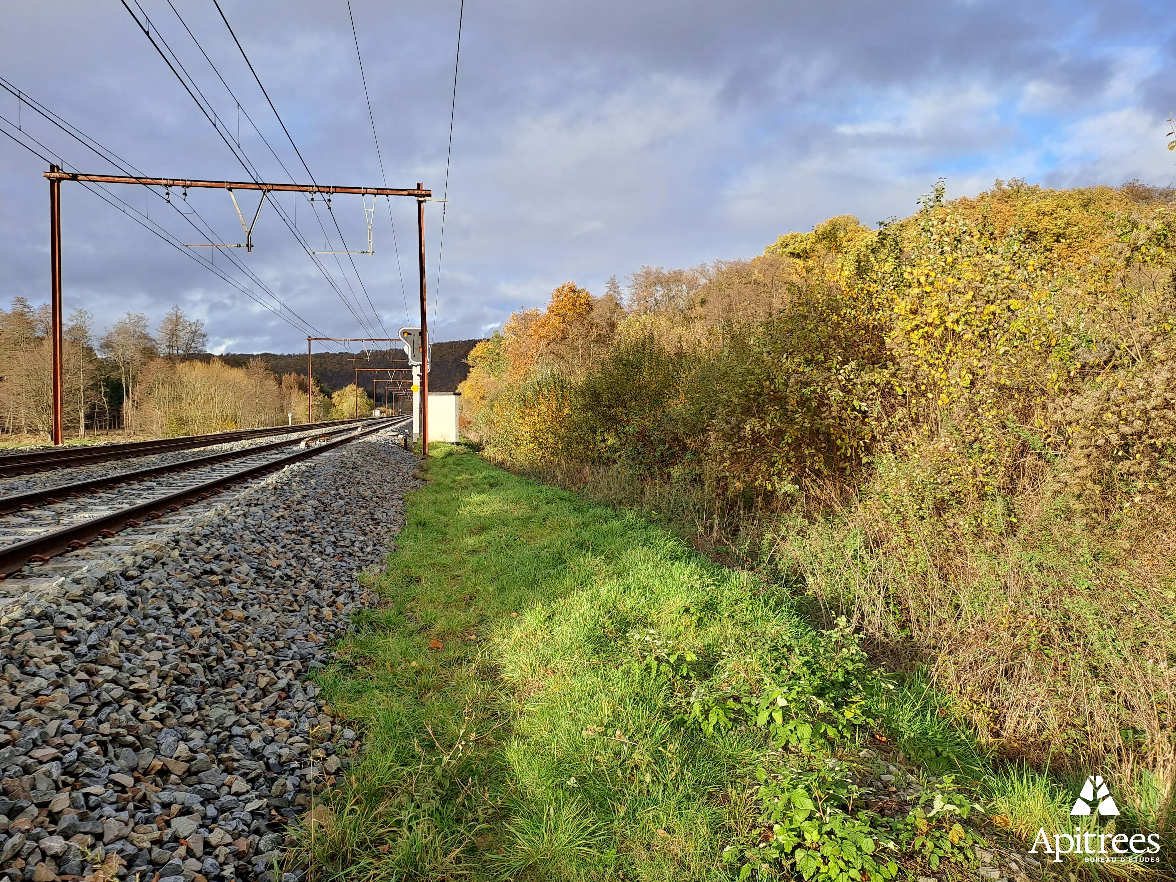 Bord de voie ferrée dans le contexte d'un inventaire de biodiversité pour Infrabel en Wallonie