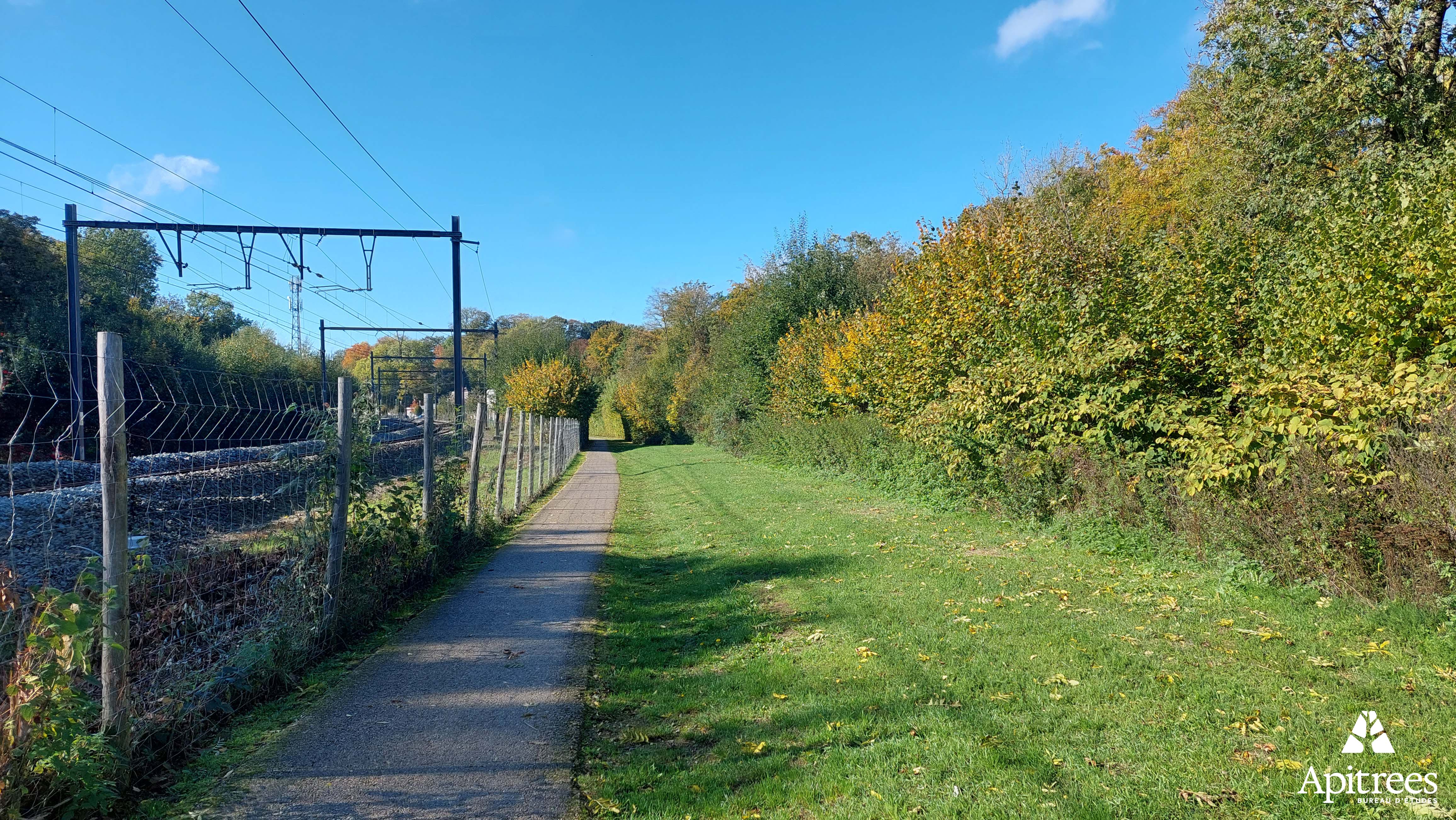 Bord de voie ferrée dans le contexte d'un inventaire de biodiversité pour Infrabel en Wallonie